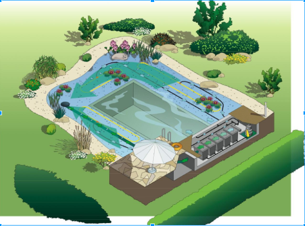 BẢN VẼ BỂ BƠI NGOÀI TRỜI