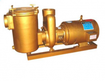 Máy bơm bể bơi Series BP5040