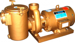 Máy bơm bể bơi Minder series BP7550